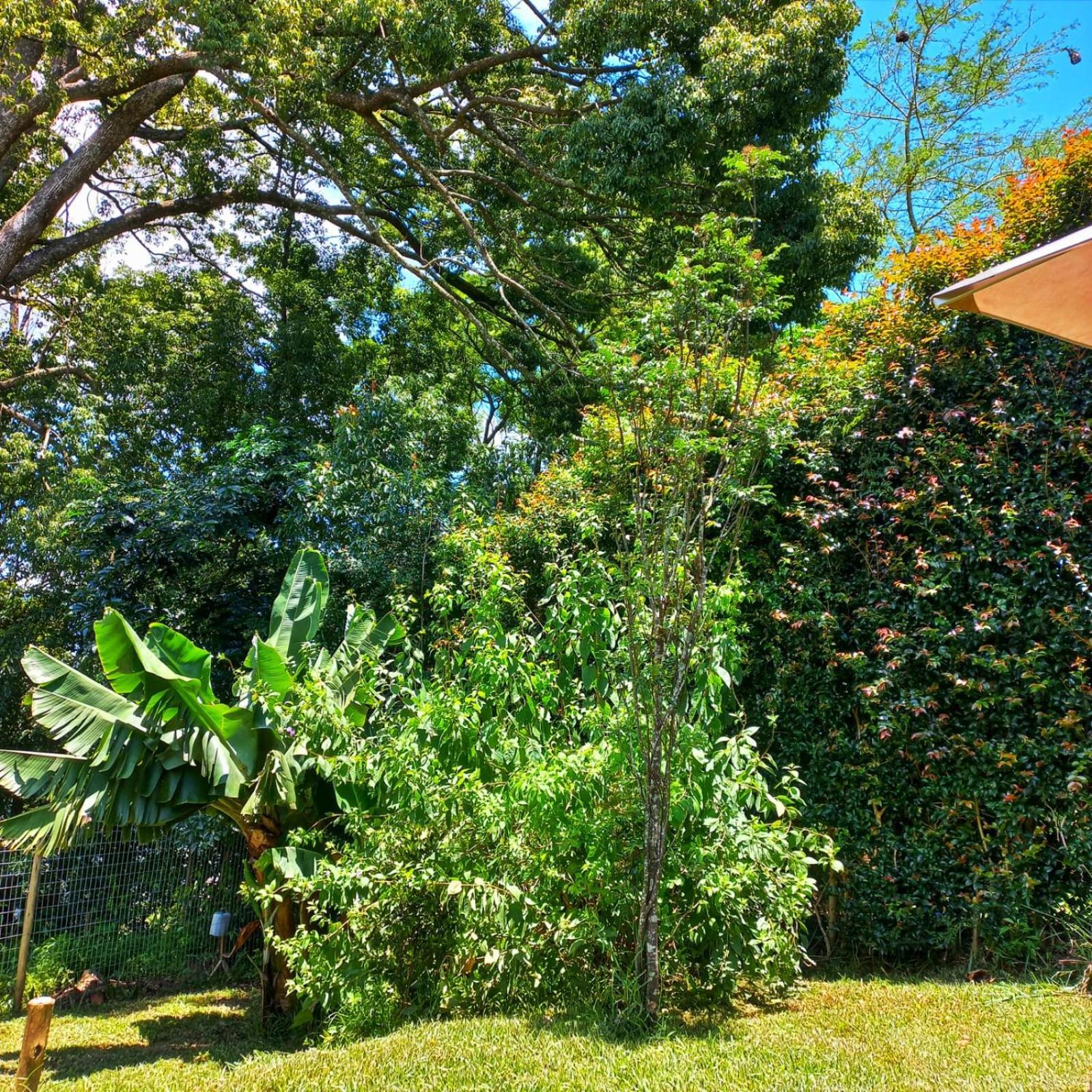 Highview Lodge Gillitts Exterior foto
